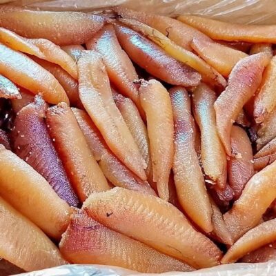 ربع بطارخ مرملة
